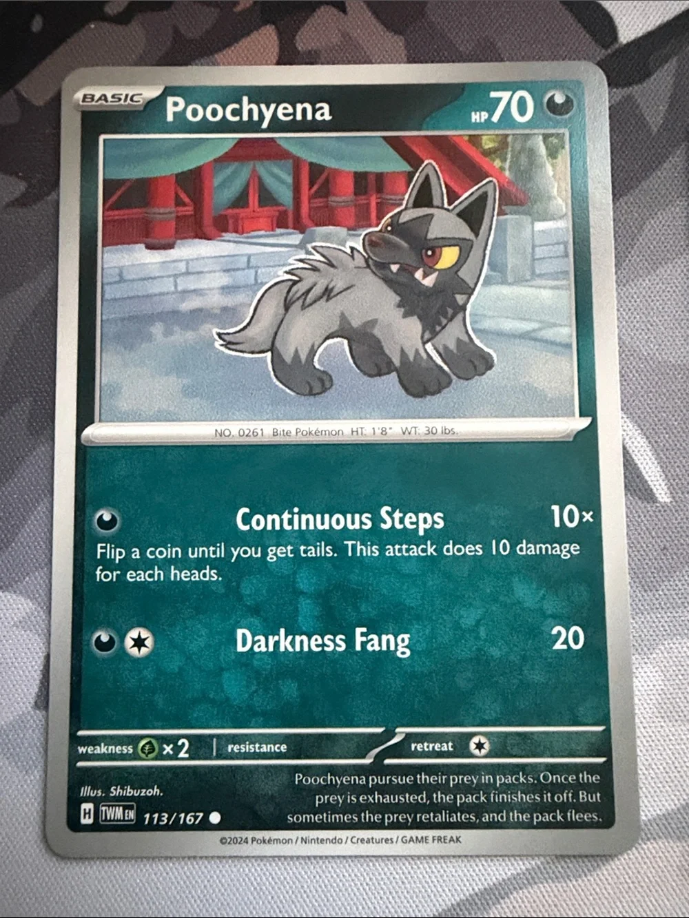 Poochyena & Mightyena Evolution Collection Lot | 5 Pokémon Cards | ✨5/$25✨